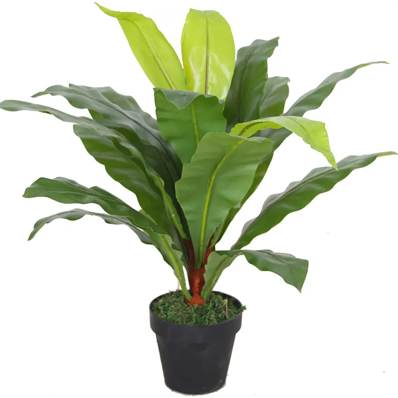 Hot selling artificial plants nice fern bonsai for decoration artificial bonsai