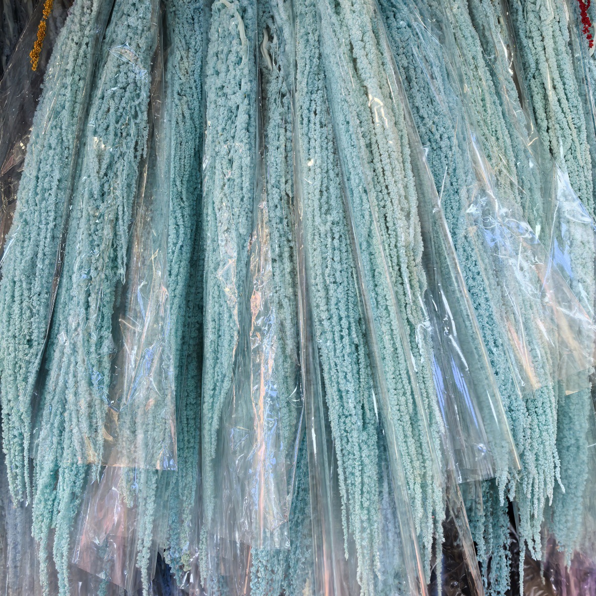 Bleu clair