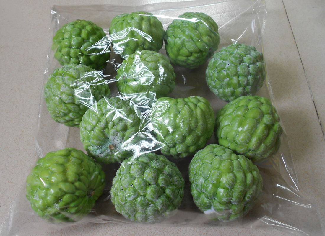 Pomme sucre