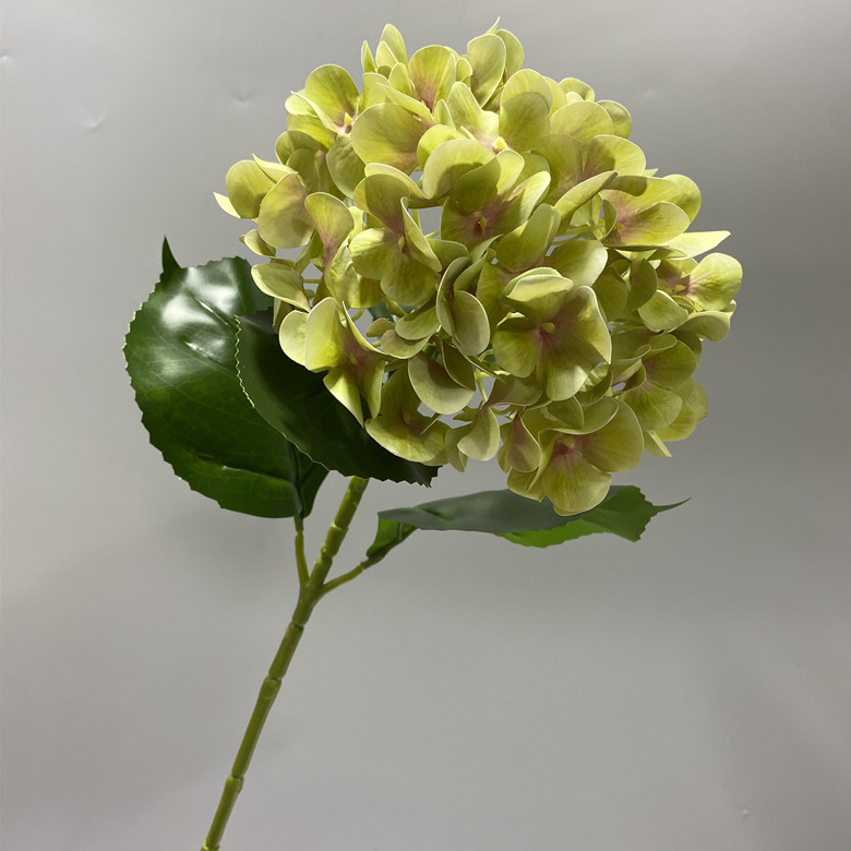 Hydrangée à une tête, vert printemps, 80 cm