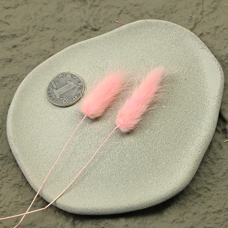 Rabbit tail grass powder 2 a branch