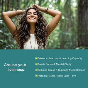 Advanced Brain Boost Formula-Gedächtnis, Fokus und neuronale Gesundheit (OEM/ODM) - Product Image 2