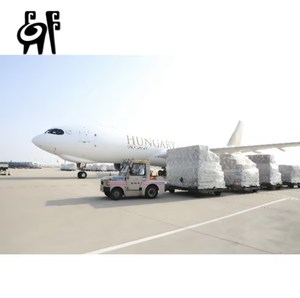 Fast DDP FBA Door-to-Door Sea Freight Logistics From China to Ivory <strong>Coast</strong> Air+Express <strong>with</strong> Customs Clearance - Product Image 1