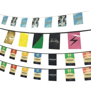 Economic Paper <strong>Triangle</strong> <strong>Flag</strong> <strong>Bunting</strong> Mini Size Decorative Outdoor Colorful Polyester Cheap <strong>Bunting</strong> - Product Image 2