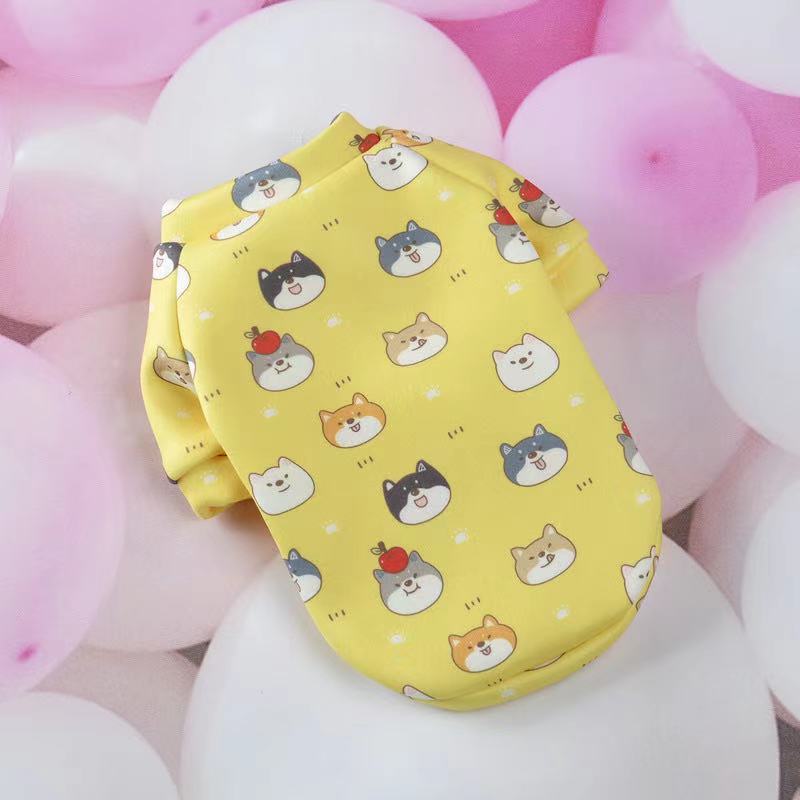 Tête de chien jaune lait