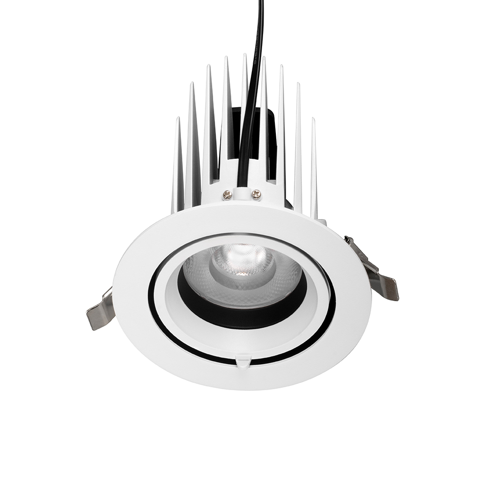 Blanc (Lentille)