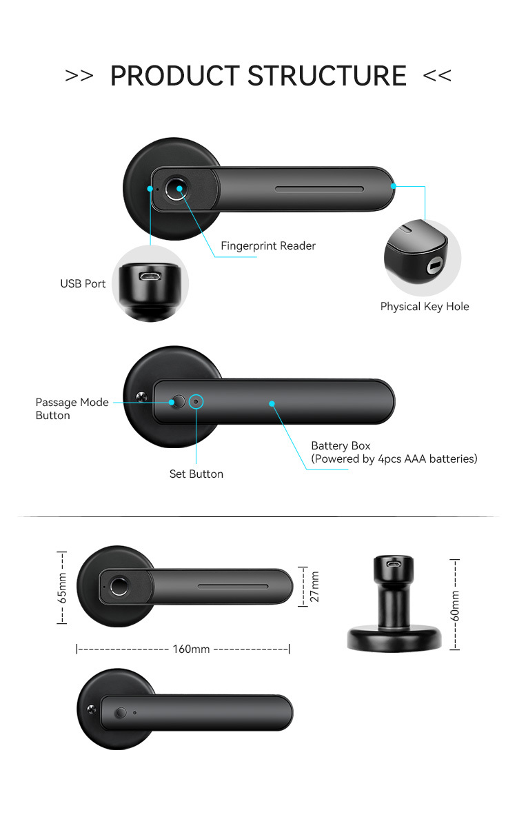 Tediton APP Anti Theft Remote Control Smart Lock Guangdong Lever Magnetic Fingerprint Door Lock