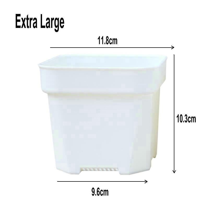 White 11.8CM