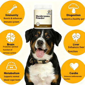 Bán buôn OEM nấm bột cho vật nuôi Hỗ trợ hệ thống miễn dịch sức khỏe tự nhiên nấm bột với Chaga maitake cho chó mèo - Product Image 3