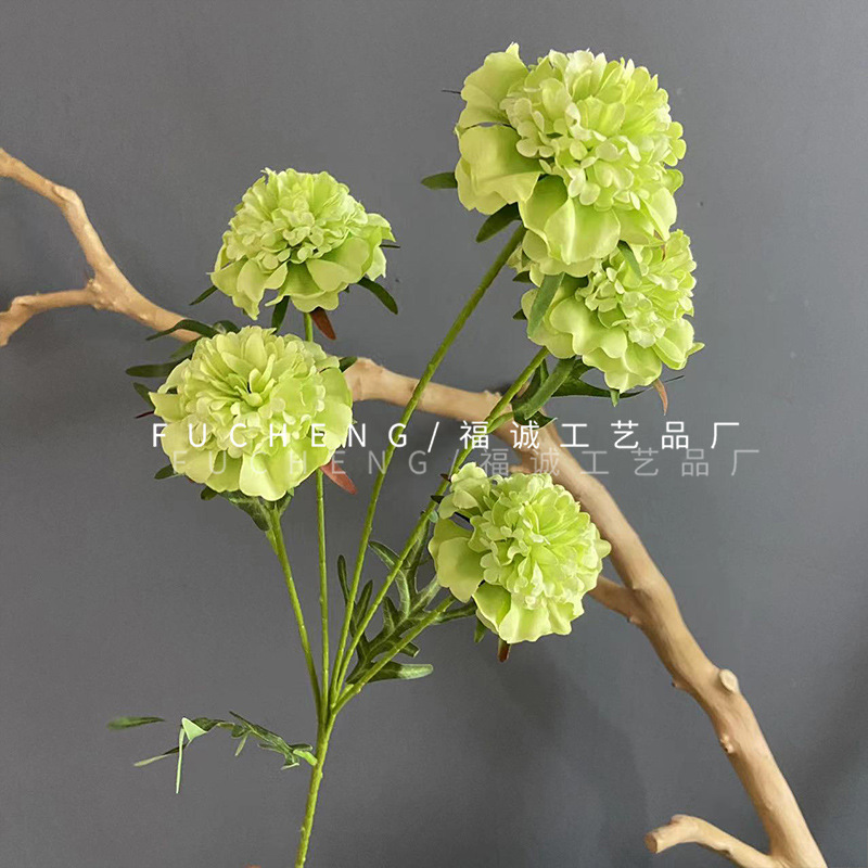 Fleur de coussin japonaise