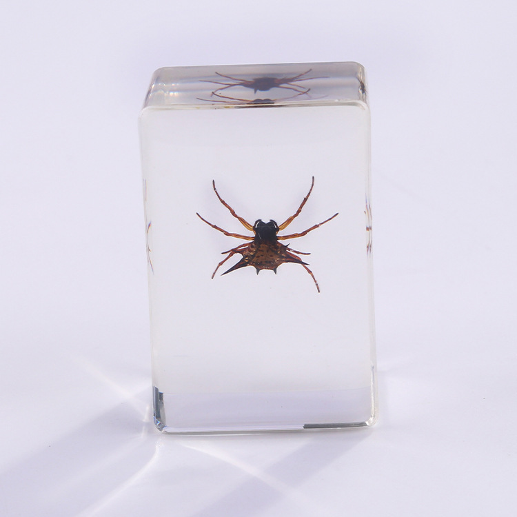 Araña cornuda 6 golpes