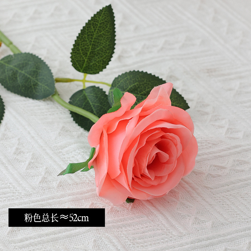 Rosa