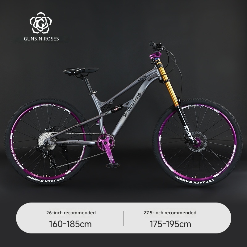 Gray-dual-shoulder air pressure-oil disc model-10 speed