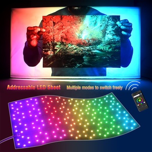 Цифровой светодиодный лист с RGB подсветкой Адресуемая Гибкая программируемая мягкая Светодиодная панель для ландшафтного применения - Product Image 4