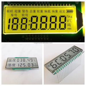 Custom Professional Medical Instrument 7-Segment <strong>LCD</strong> <strong>Display</strong> Cog Type with ST7789 Driver IC - Product Image 1