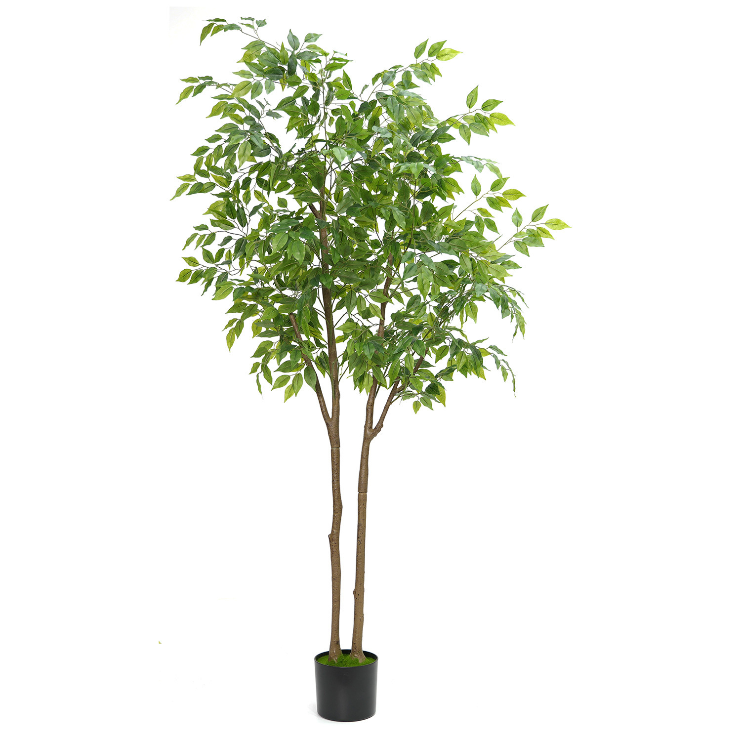 Mini banian de 180 cm