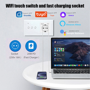 适用于Tuya 146型智能WIFI组合开关Alexa语音兼容性多开多控欧盟插头10A 240V家用 - Product Image 3