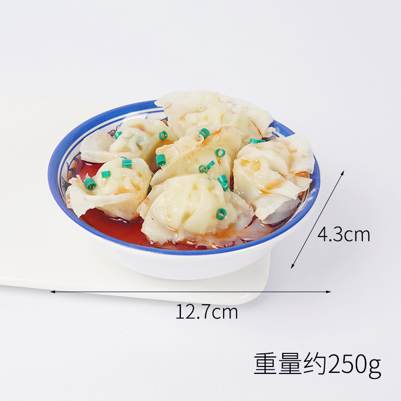 Modèle de plat wonton