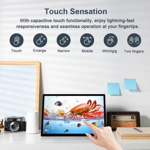 Wisecoco 10.5 pollici OLED Display 2560*1600 2.5k AMOLED IPS schermo per Raspberry Pi Laptop PS4/5 xbox 60hz Touch Panel capacitivo - Product Image 4