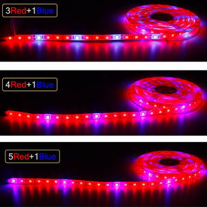 <span class=keywords><strong>LED</strong></span>グローライト60led/m防水IP65LEDストリップ5050屋内水耕植物成長用花植物成長ランプ