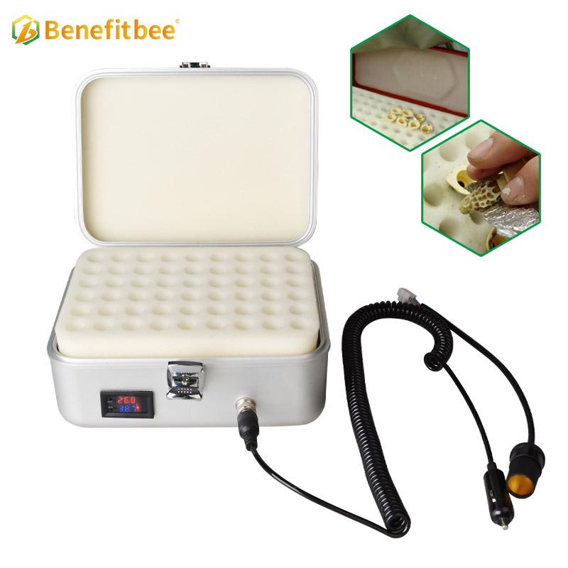 Queen bee automatic incubator electric hatcher bee queen