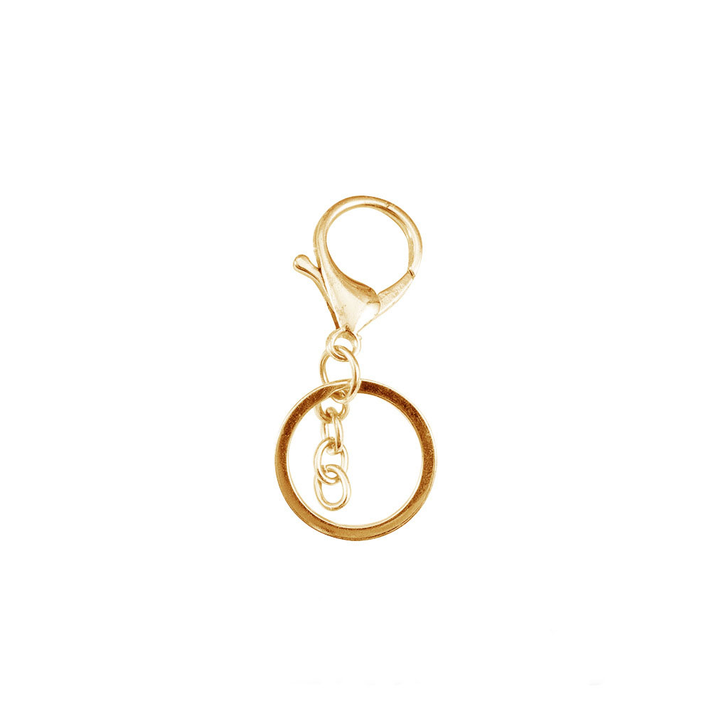 Hebilla de gancho clave de oro con cadena (juego de 1)