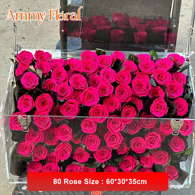 80 Rose - Hot Pink