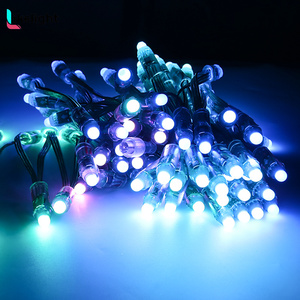 5V 12V 12mm Smart LED Punkt Pixel Modul 5V Lichterkette LED Pixel Ws2811 RGB Luces LED IP68 80 LED Decken beleuchtung 12V Quelle - Product Image 3