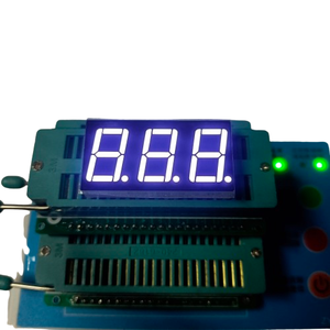 Rote LED-Anzeige röhre 0,3 Zoll 3-stellige 7-Segment-Anzeige Timer-Uhr-LED-Modul Rexc100-LED-Modul Common Cathode Digital