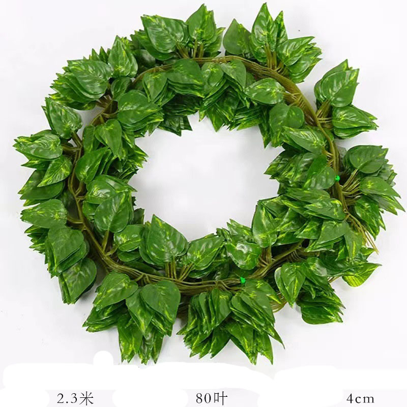 D-81 leaves Green