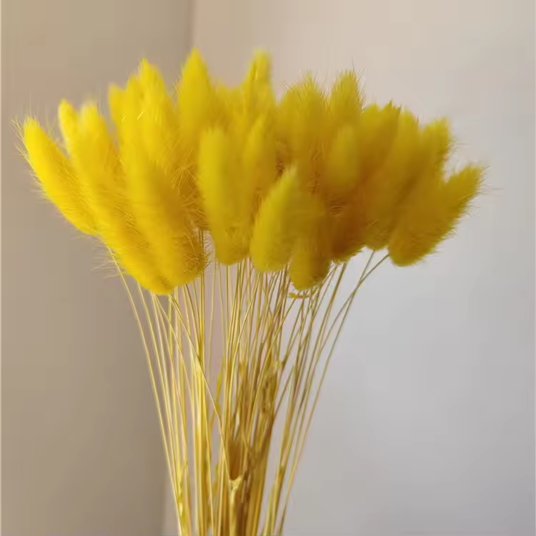 Giallo dorato
