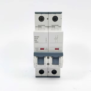 5SY6シリーズ熱磁気MCB ATSパワースイッチ2P 0.3-80A C産業用エネルギー分配銅製オリジナルS-IEMENS - Product Image 1