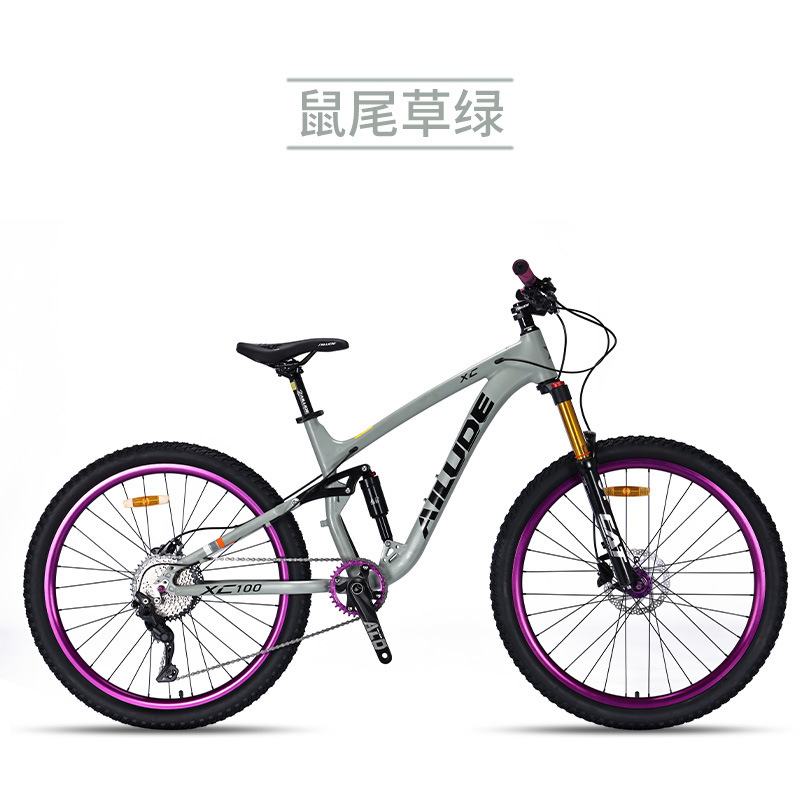 Sage 10 speed