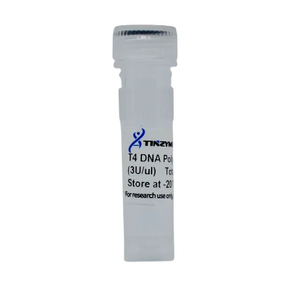Tinzyme T4 DNA <strong>Polymerase</strong>,not Contain Exonuclease Activity of 5' to 3' DNA,can Be Inactivated by Heating at 70 for 10 Minutes - Product Image 1