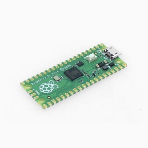 PICO-lampone Pi ROHS con logo e senza logo