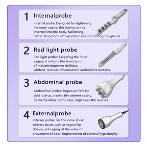 Mesin pengencang vagina, mesin pemulihan pascanatal, pelatih lantai panggul, kapsul pengencang vagina - Product Image 2