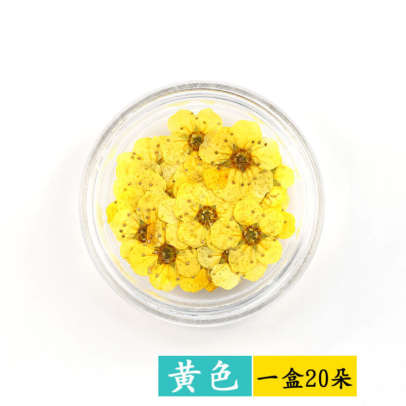 Jaune