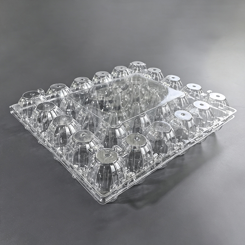 30-grid egg box