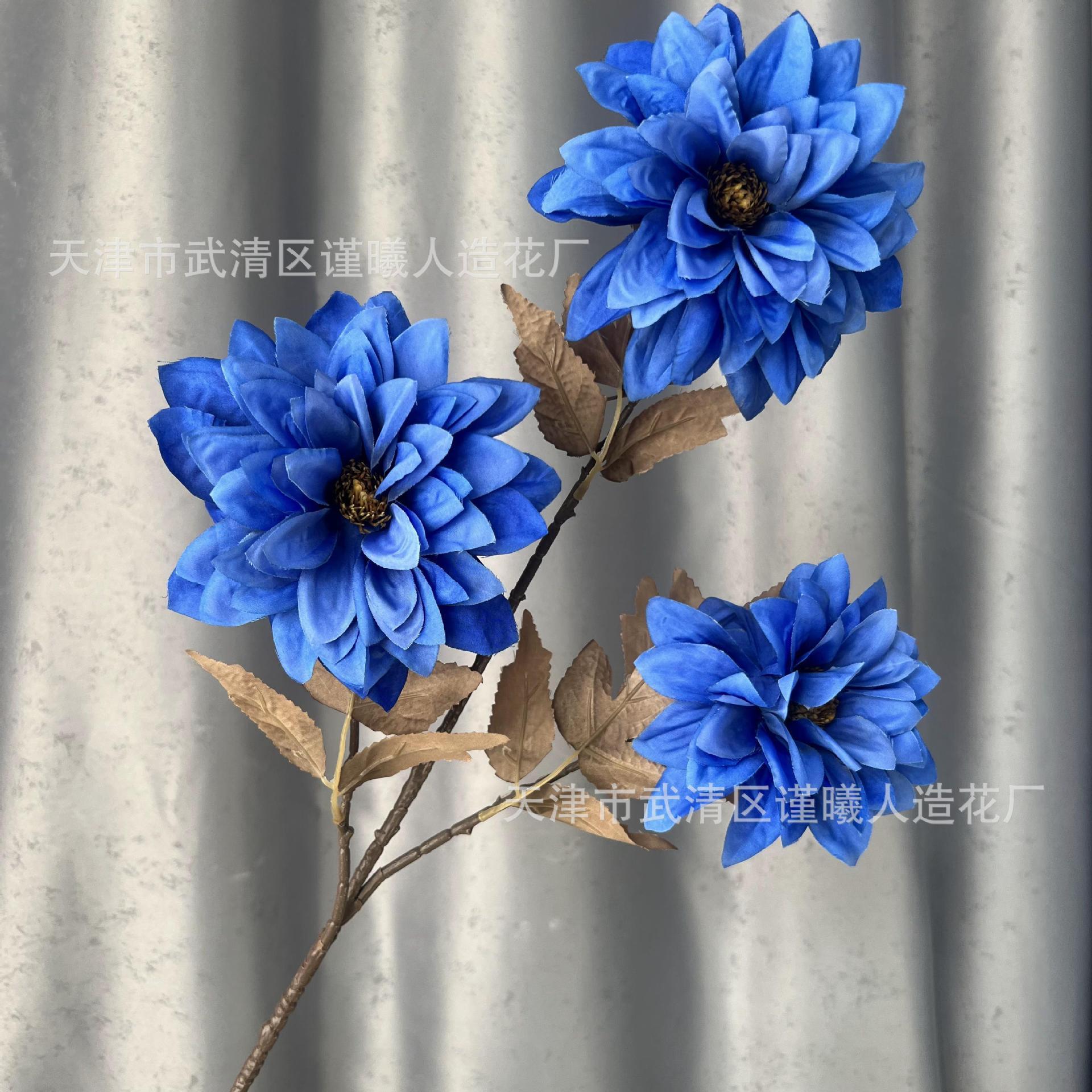 Dahlia bleu à trois têtes