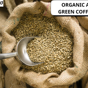 حبوب القهوة الخضراء العربية الفيتنامية سكرين 16 طبيعية نقية بالجملة للتحميص بجودة ثابتة للتصدير - Product Image 3