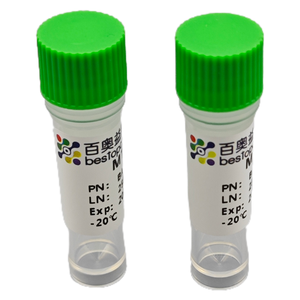 <span class=keywords><strong>Kit</strong></span> Multi dissociazione tissutale per la preparazione della sospensione unicellulare ad alta attività degli organi di mammifero - Product Image 5