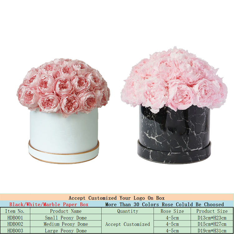 Pivoine dans une boîte dôme
