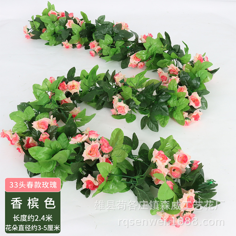 คอลเลกชันฤดูใบไม้ผลิ: 33 Rose Vine สีแชมเปญ