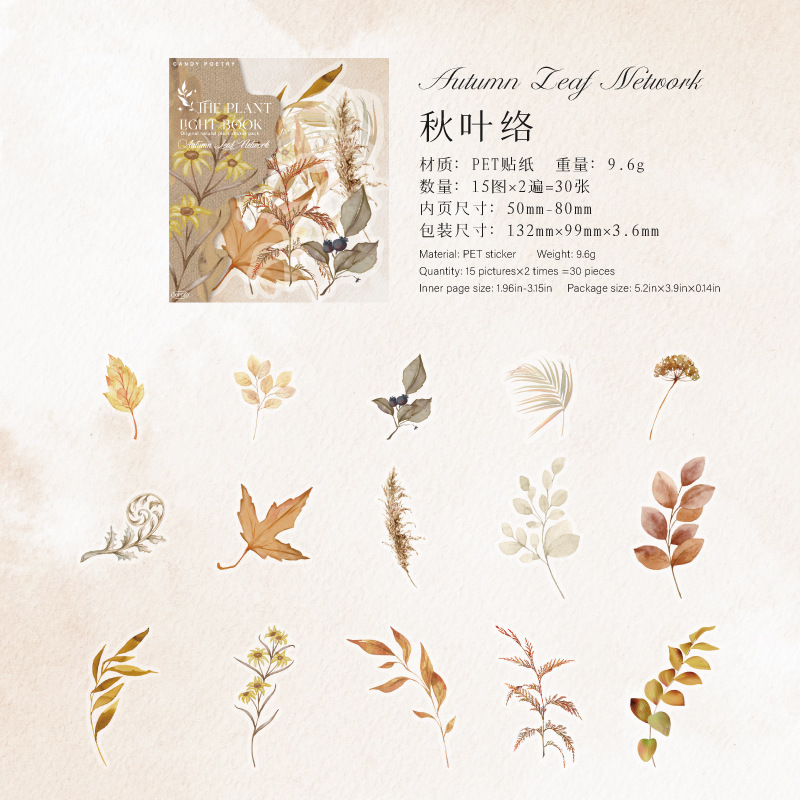 B Autumn leaves