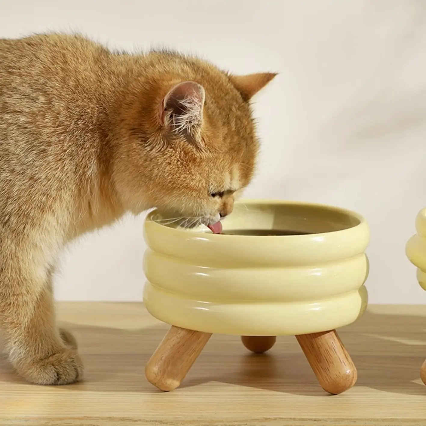 Çift besleme anti-kusma yükseltilmiş kedi maması kabı seramik hayvan mama kasesi