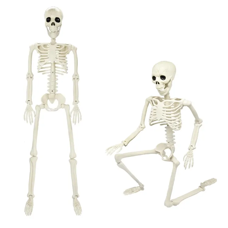 Modello giocattolo Costume di Halloween Mini secchio umano di plastica modello di scheletro per Halloween