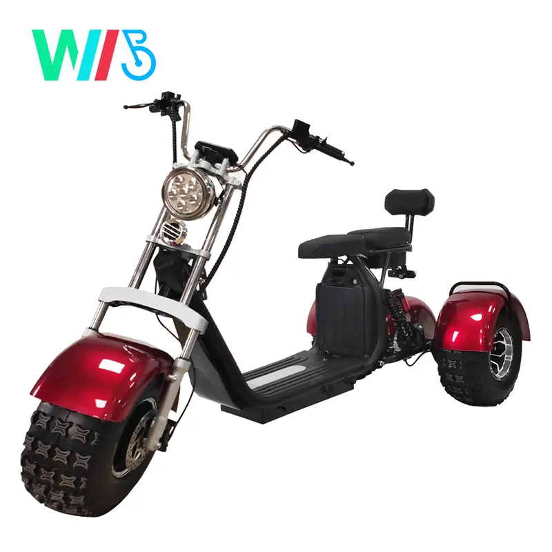 סין סיטונאי באיכות גבוהה חשמלי קטנוע Citycoco 3 גלגל חשמלי אופניים/קטנוע/אופנוע Citycoco