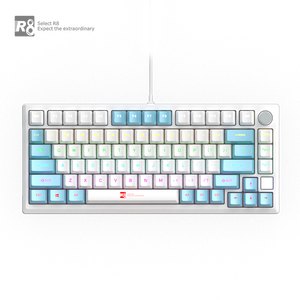 Fabbrica 82 tasti interruttore blu a caldo personalizzato Keycap per Computer giochi USB cablato RGB luce Led tastiera meccanica con manopola - Product Image 2