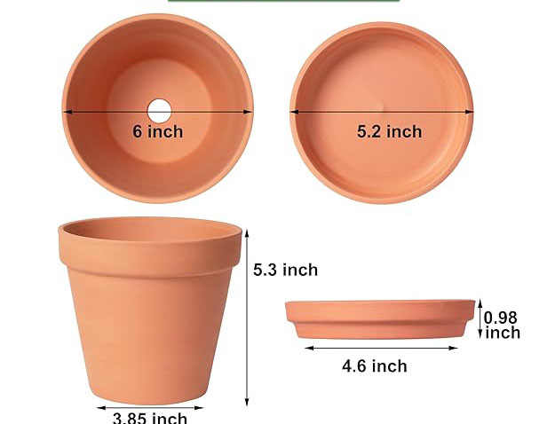 Pots en argile de 6 pouces Grands pots de plantes en terre cuite Pots en terre cuite avec trou de drainage et plateau