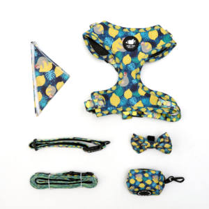 Aksesori hewan peliharaan kustom label pribadi tali kekang Anjing khusus dan tali cetak set <span class=keywords><strong>harness</strong></span> anjing kecil kustom mewah - Product Image 6